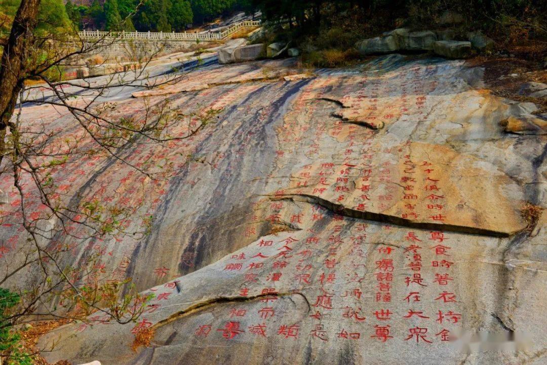 吃金币的猫